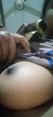 Borsha